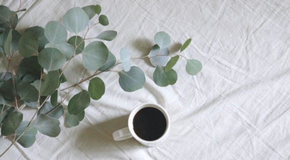 Madison Inouye/Pexels