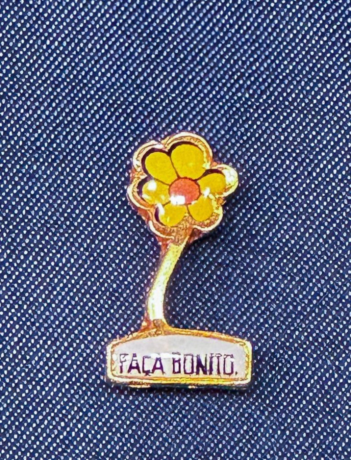 Instituto Lula