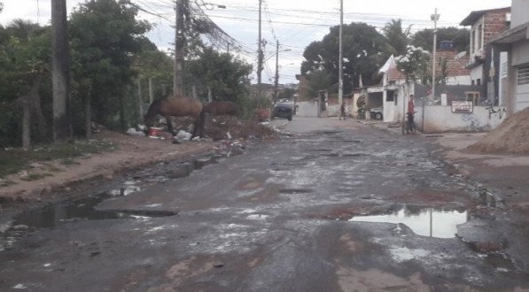 CLÁUDIO DE MELO / VOZ DO LEITOR