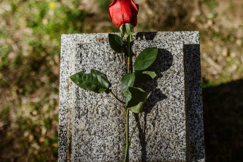 Imagem de rosa sobre lápide, representando o dia de Finados