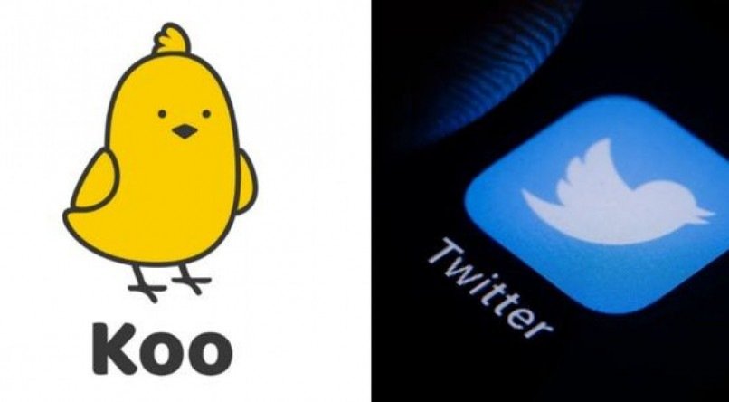 Koo App é a nova aposta dos usuários do Twitter. 