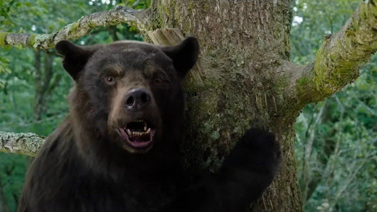 A historia por trás do filme 'O Urso do Pó Branco'. Vão assistir