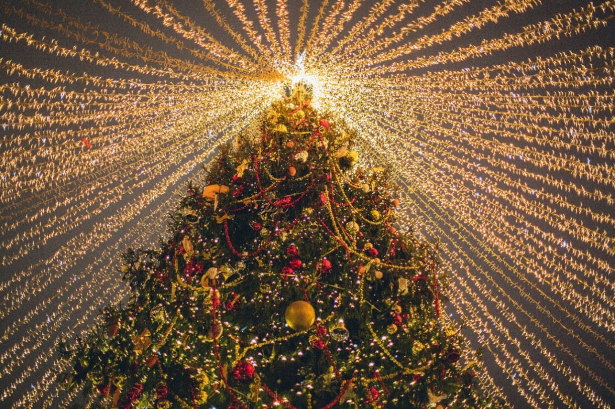 Feliz Natal e Próspero Ano Novo de 2023 - Blog Biossegurança