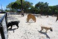 Foto da capa: Saúde e Bem-estar