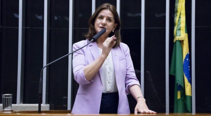 Carmen Zanotto &eacute; uma das principais representantes da enfermagem na C&acirc;mara dos Deputados. 

