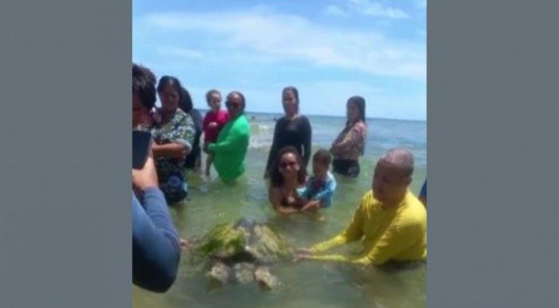 Tartaruga marinha é encontrada na Praia de Catuama