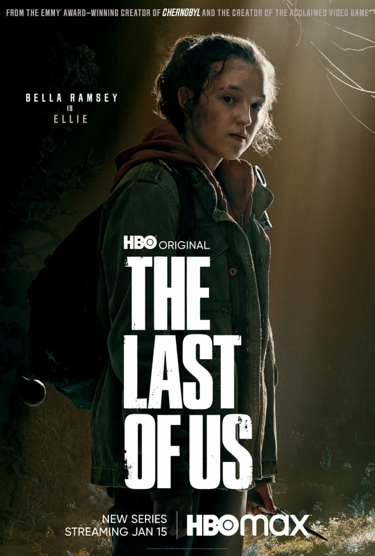 Assistir The Last of Us online - todas as temporadas