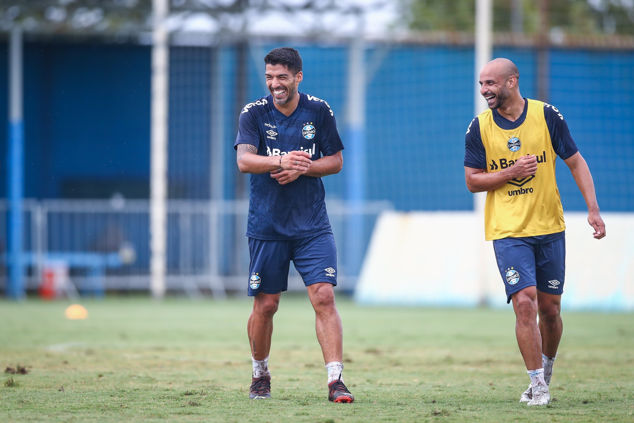 O centroavante uruguaio Suárez está regularizado e deve estrear pelo Grêmio