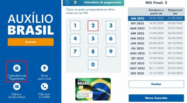 App Auxílio Brasil. 
