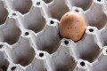 SONHAR COM OVO PODRE: Descubra mensagem importante para sua vida quando você sonha com ovo podre