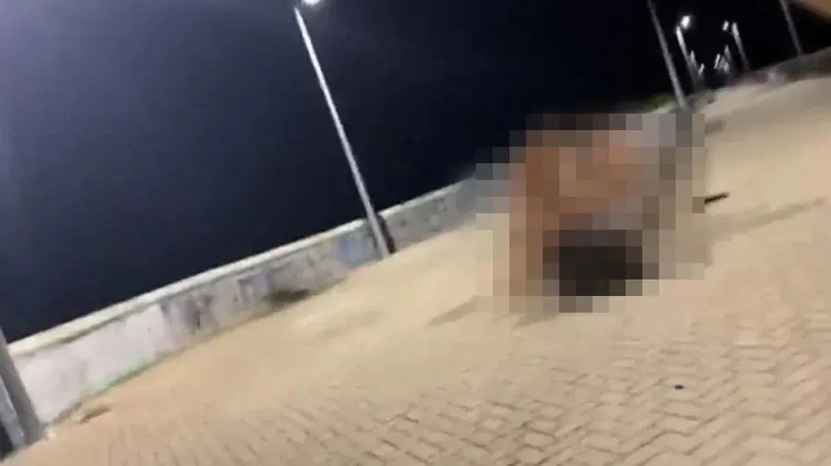 Vídeo que circula nas redes sociais mostram a cena de sexo na praia