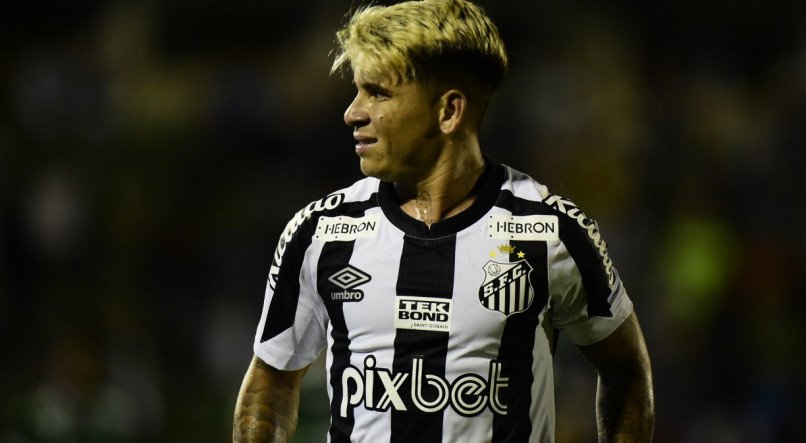 Raul Baretta / Santos FC