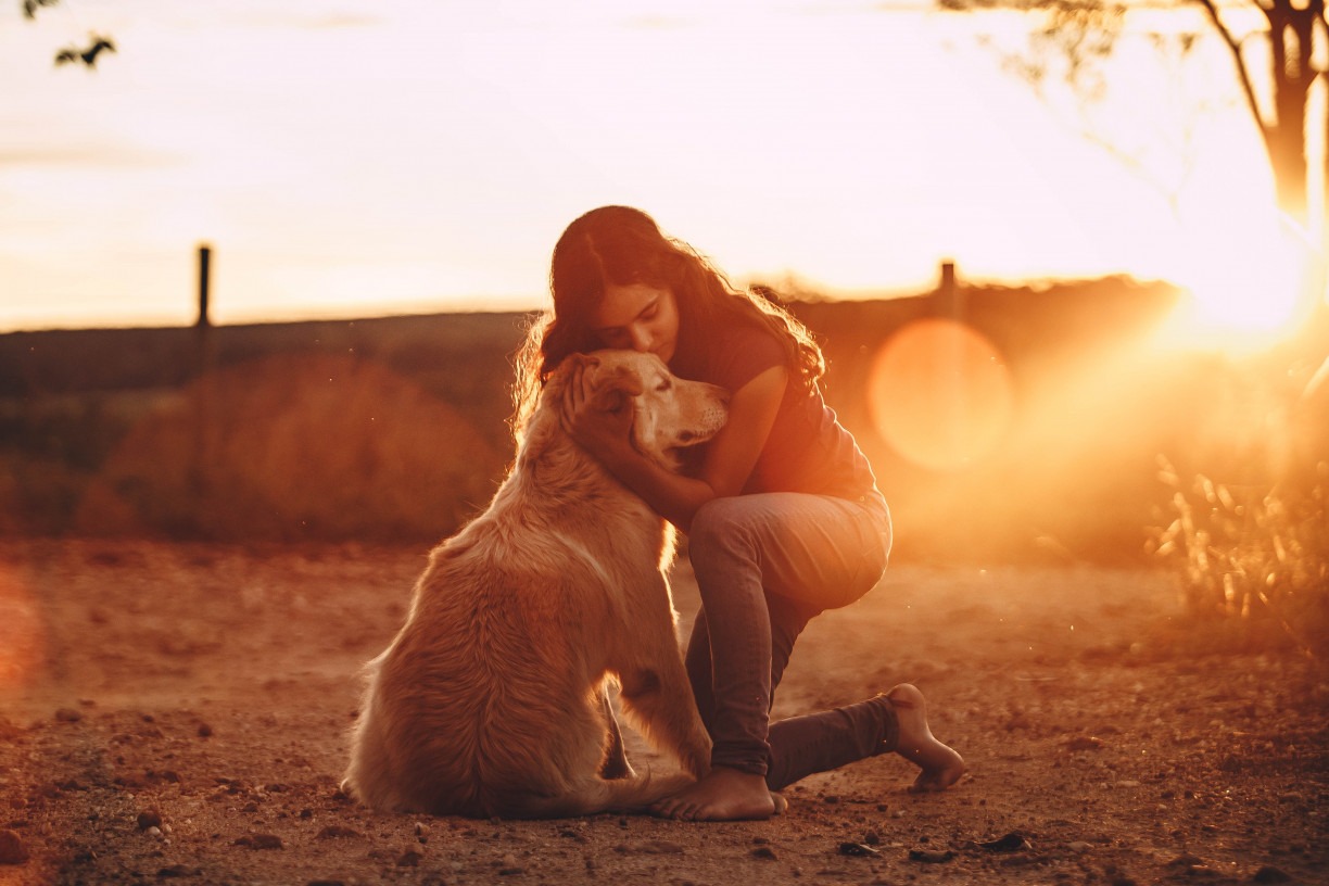 PET como APOIO EMOCIONAL? Veja como animais podem melhorar a SAÚDE MENTAL