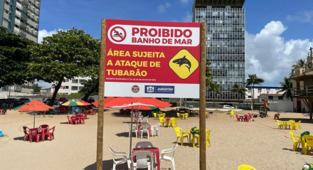 Reforço da fiscalização na Praia de Piedade após ataques de tubarão