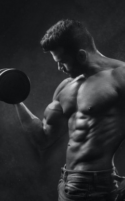 4 exercícios para ganhar massa muscular em casa; ganhe músculos sem sair de casa