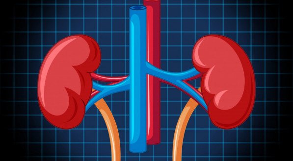 DOENÇA RENAL: Faça agora TESTE online e DESCUBRA seus fatores de risco para a saúde dos rins
