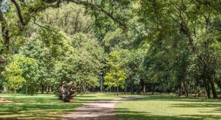 Ibirapuera é um dos atrativos de quem viaja para São Paulo