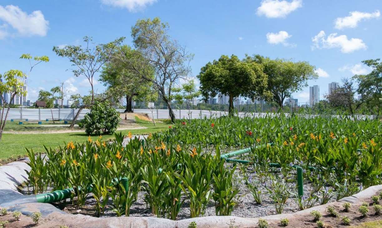 rio-capibaribe