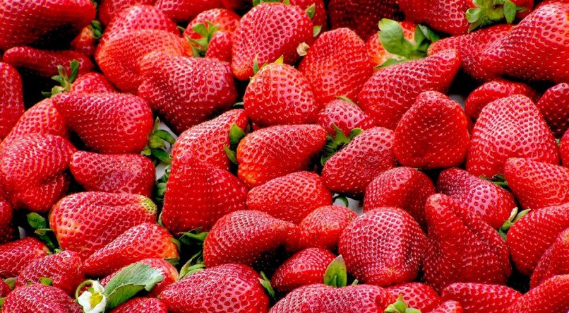 Morango