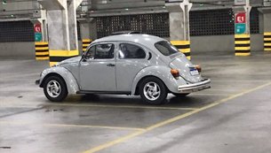 fusca