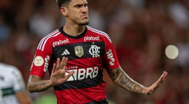 Pedro &eacute; a principal figura de gols do Flamengo para enfrentar o Goi&aacute;s hoje