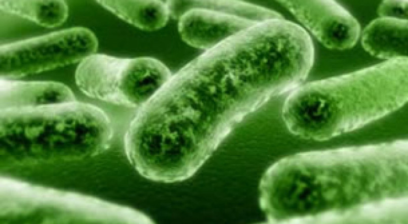 As superbactérias geralmente, sobrevivem em superfícies e equipamentos médicos e infecta feridas, causando pneumonia e levando à quadros graves de saúde
