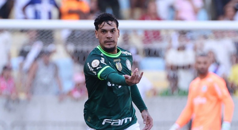 Palmeiras chega com for&ccedil;a m&aacute;xima na Libertadores