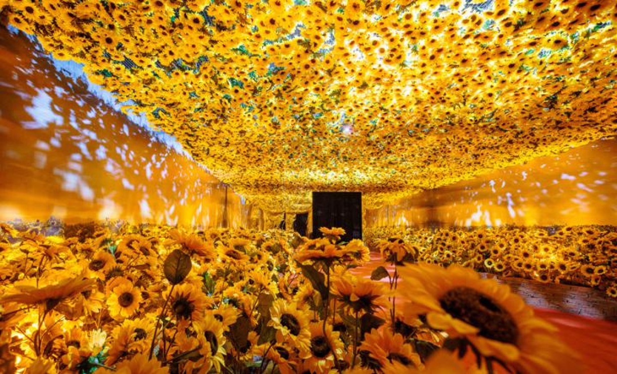 Dia das Mães: exposição Van Gogh terá promoção especial