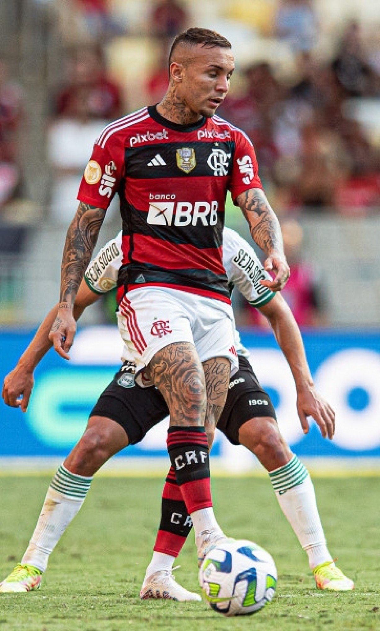 Imagem