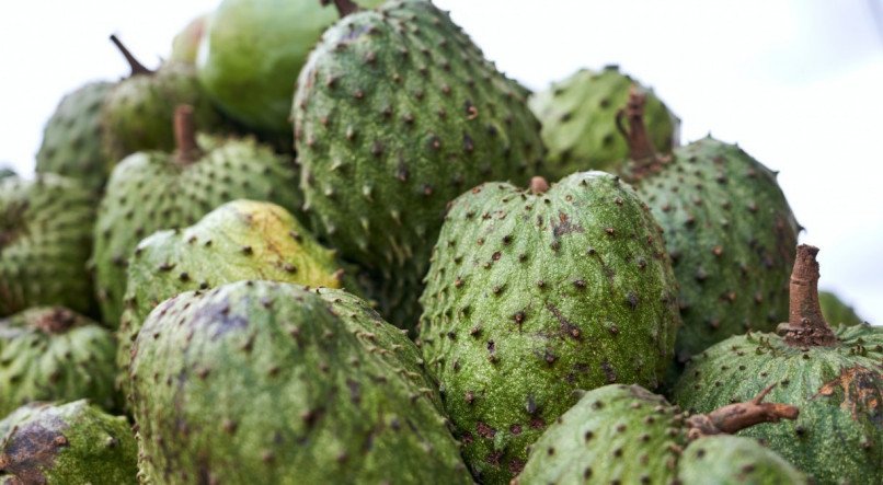 Descubra quais os melhores benefícios do suco de graviola para a saúde e confira uma receita de suco de graviola no final.