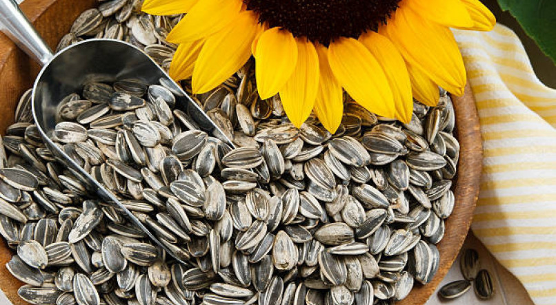 benefícios da semente de girassol