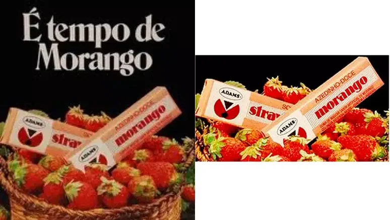 Divulgação