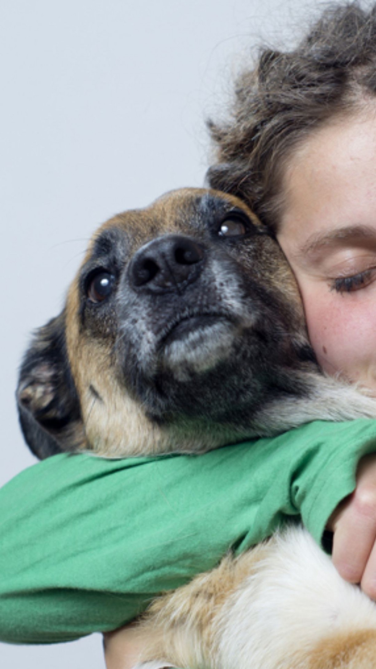 Sonhar com Cachorro: Veja Significados e Como Interpretar