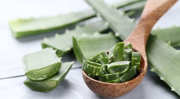 Babosa; aloe vera