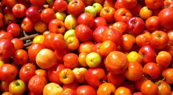 DOENÇAS QUE O SUCO DE ACEROLA "CURA": Descubra 6 BENEFÍCIOS DA ACEROLA para a saúde