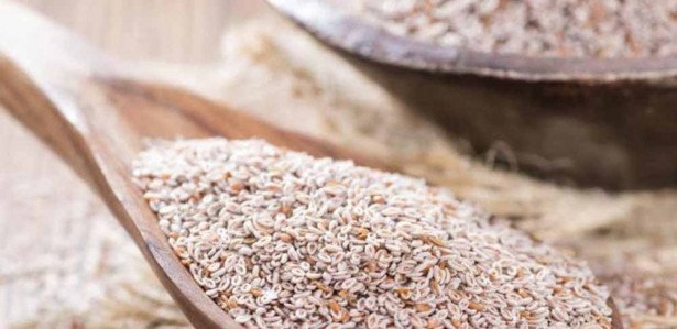 Psyllium Faz Mal Para Os Rins Ou F Gado Saiba Como Usar Psyllium Como Laxante