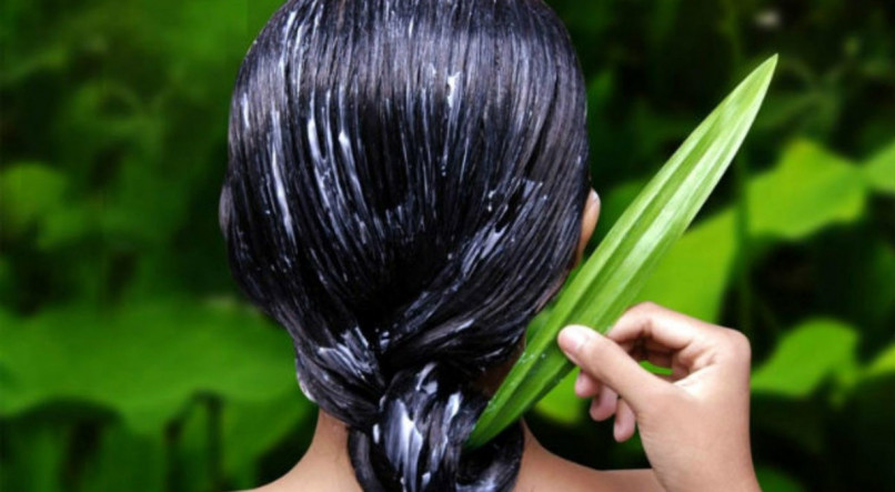 Aprenda receita de hidrata&ccedil;&atilde;o caseira com babosa para cabelos ressecados.
