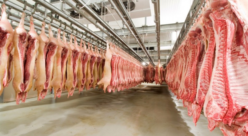 Produção de Carne suina no brasil.