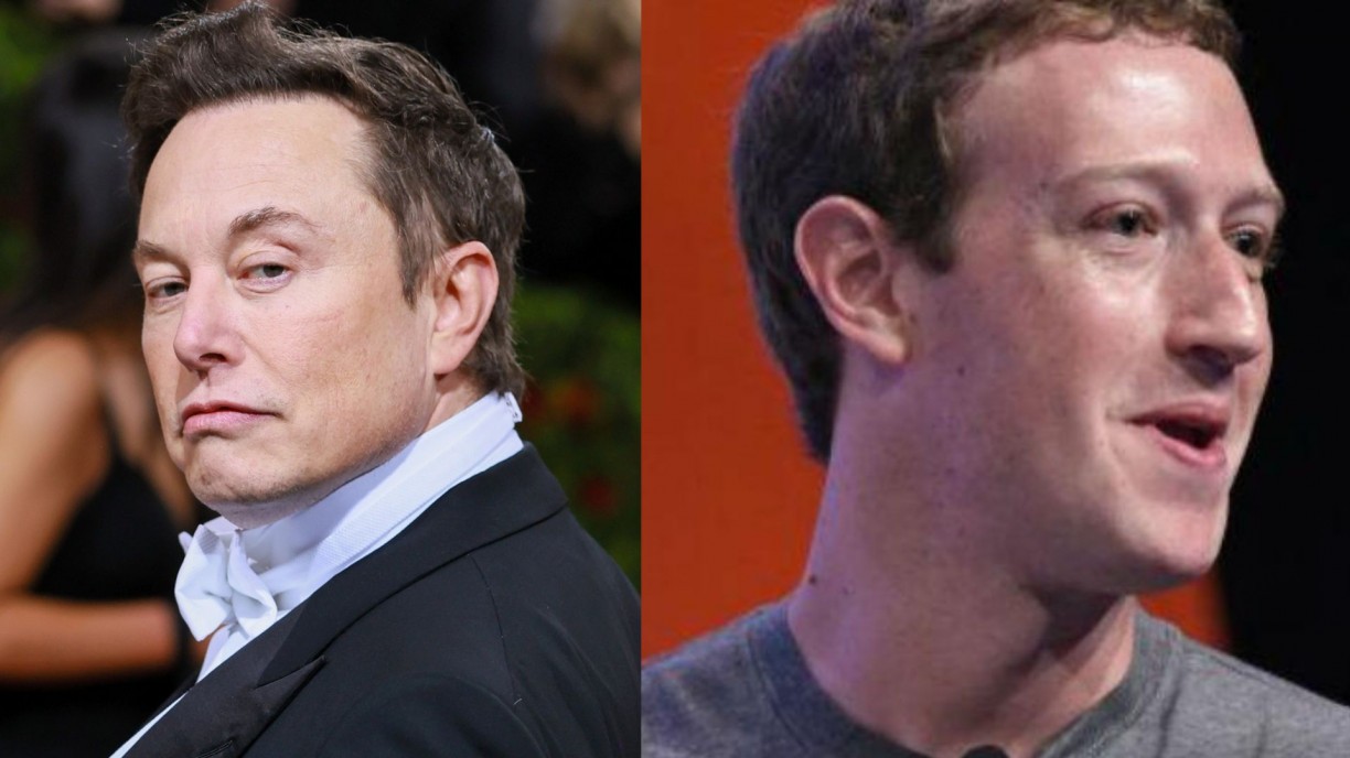 Mark Zuckerberg tem favoritismo de apostadores para vencer Elon Musk em luta