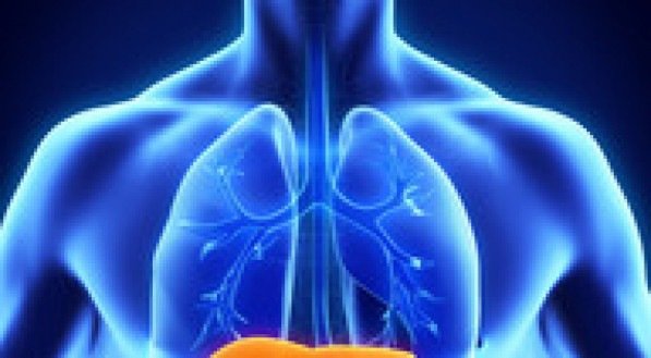 O tipo de câncer mais observado foi o de trato gastrointestinal superior