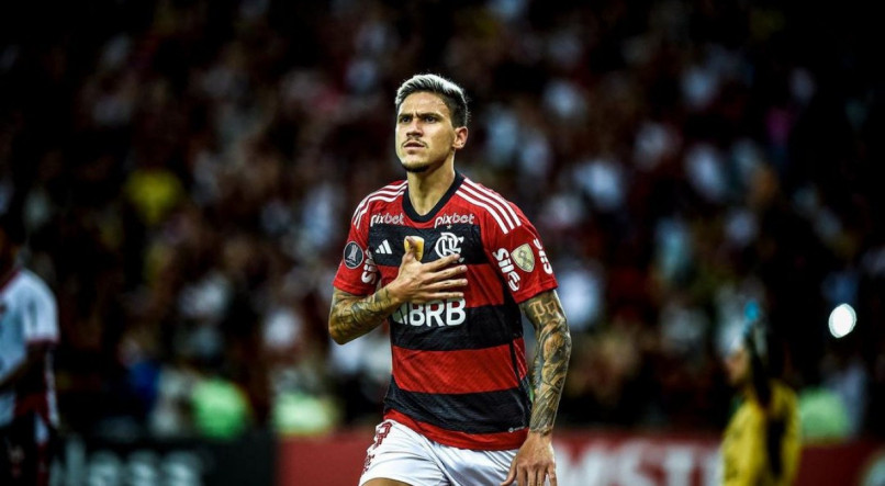 Pedro veste a camisa 9 e é destaque do time do Flamengo.