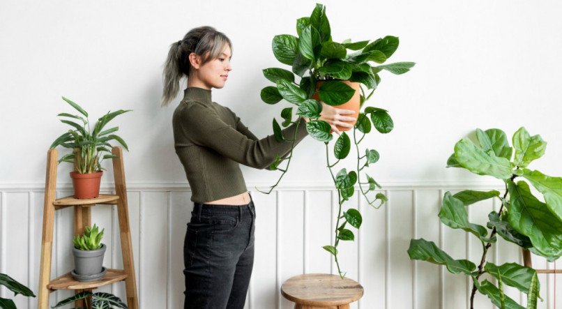 Plantas para afastar energias negativas de casa