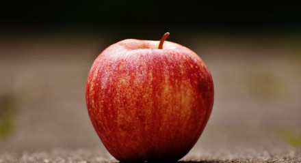 maçã; fruta; macieira
