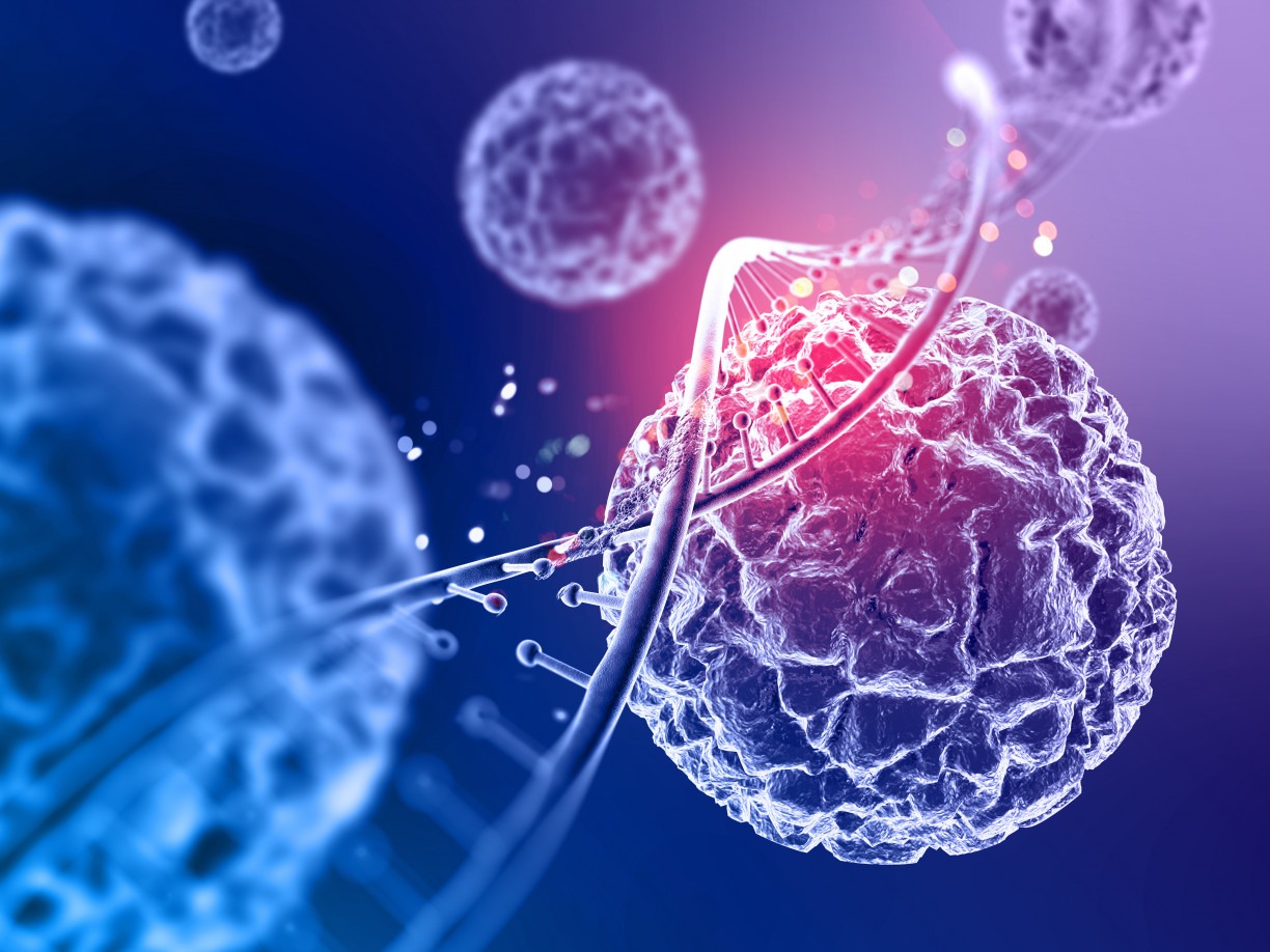 A prote&iacute;na descoberta consegue impedir que o DNA cancer&iacute;geno se multiplique
