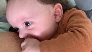 Laura Cavalcanti de Morais Botelho