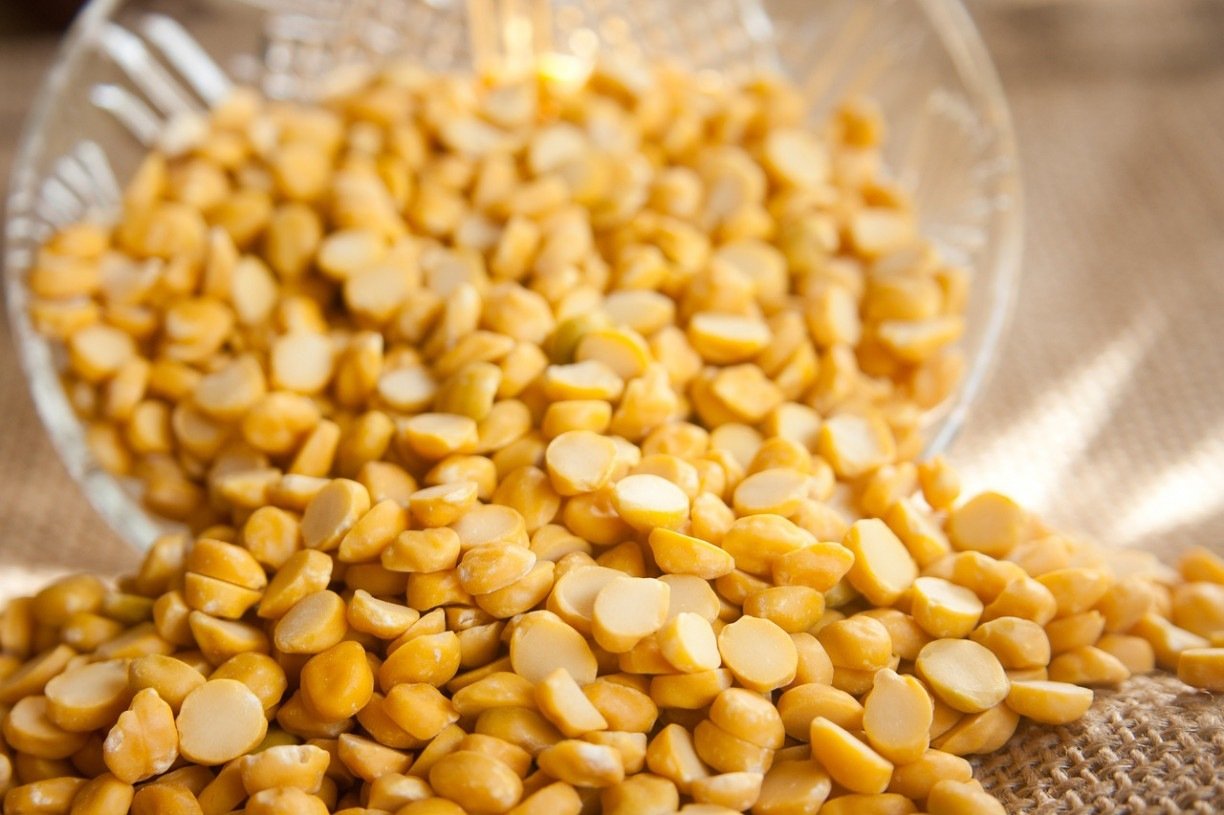 lentilha