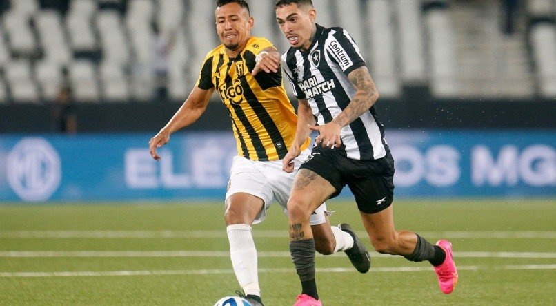 V&iacute;tor Silva/Botafogo