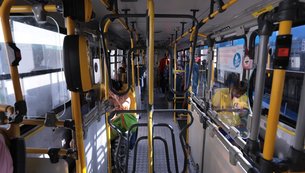 onibus