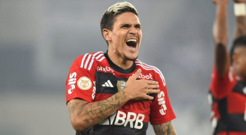 Com dois gols, Pedro brilhou na vit&oacute;ria do Flamengo sobre o Palmeiras pelo Brasileir&atilde;o