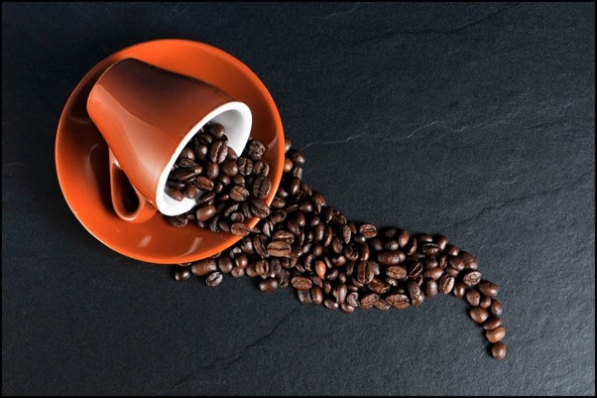 O segredo por trás de um bom CAFÉ: máquinas ELÉTRICAS ou expresso?